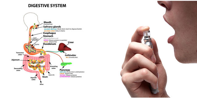 The Gastric Bypass Absorption Gap: Why pills fail after surgery.